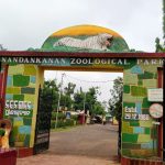 Nandankanan Zoo (2)