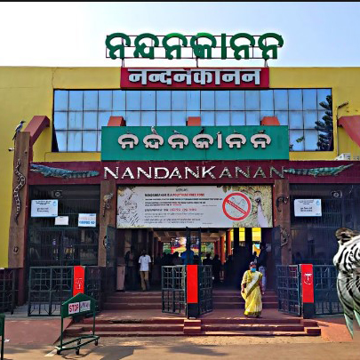 Nandankanan Zoo (1)